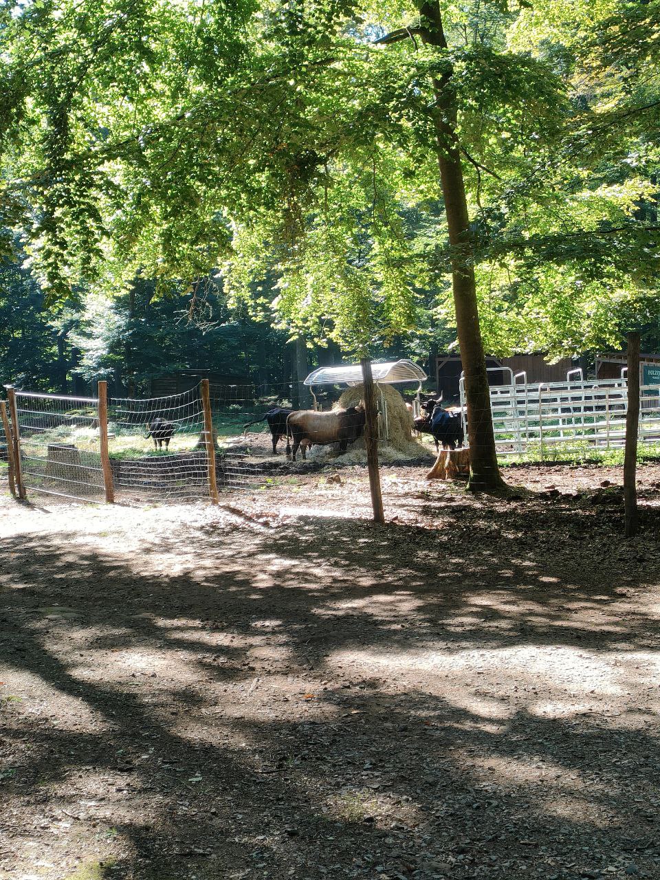 Wildpark_2c_4.jpg